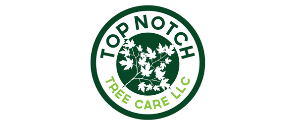 Top-Notch-Tree-Care-Rectangle outer